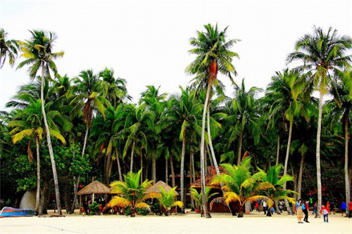 好煮艺转转香小火锅