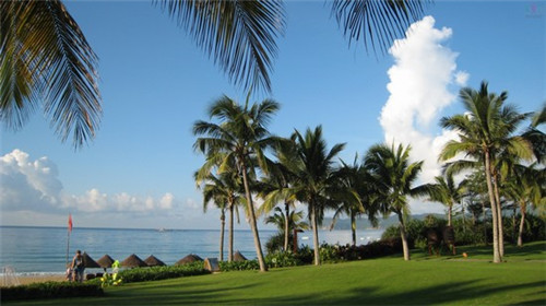 干豆腐炒鲜笋可以吃吗（豆腐干炒竹笋窍门）