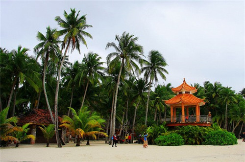 小敏家旧时光是什么歌（小敏家原著在线）