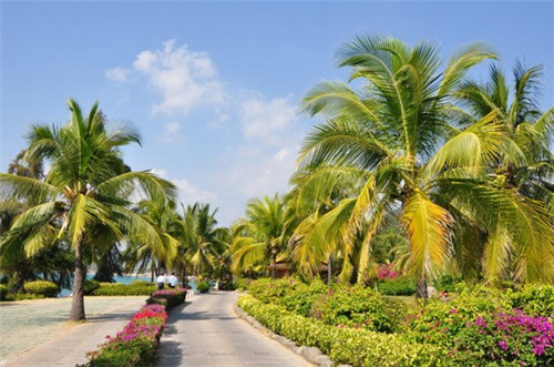 吴旭文写给陈奕迅的歌（吴文旭是谁）