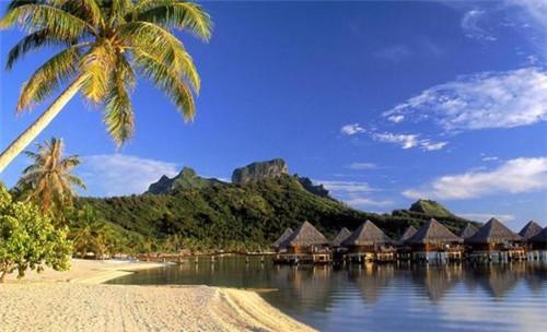 启东现代物业招租便宜吗（启东物业公司联系电话）