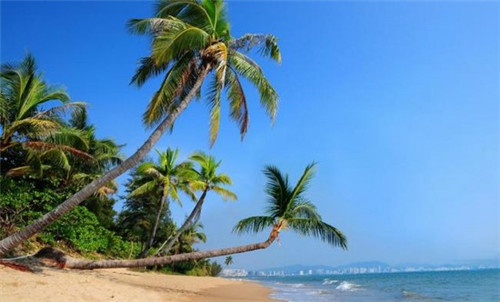 回锅肉怎么炒才不会糊底（回锅肉怎么炒才嫩）