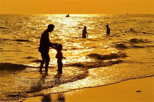 世界十大最贵的雪茄（入门平民雪茄推荐及价格）